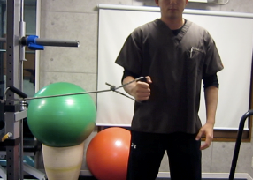 負荷の弱いチューブリハ１