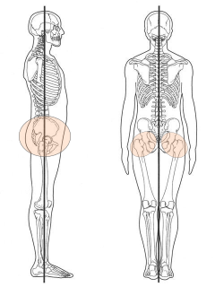 グローインペイン症候群が生じる部位